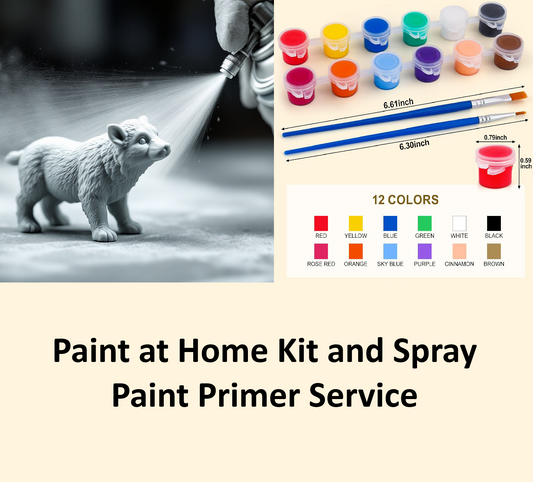 Spray Paint Primer Service + Paint at Home Kit